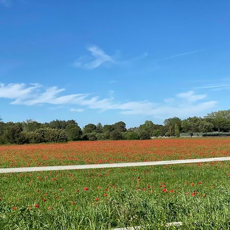 Le Gite Des Poiriers Uzès Esterno foto