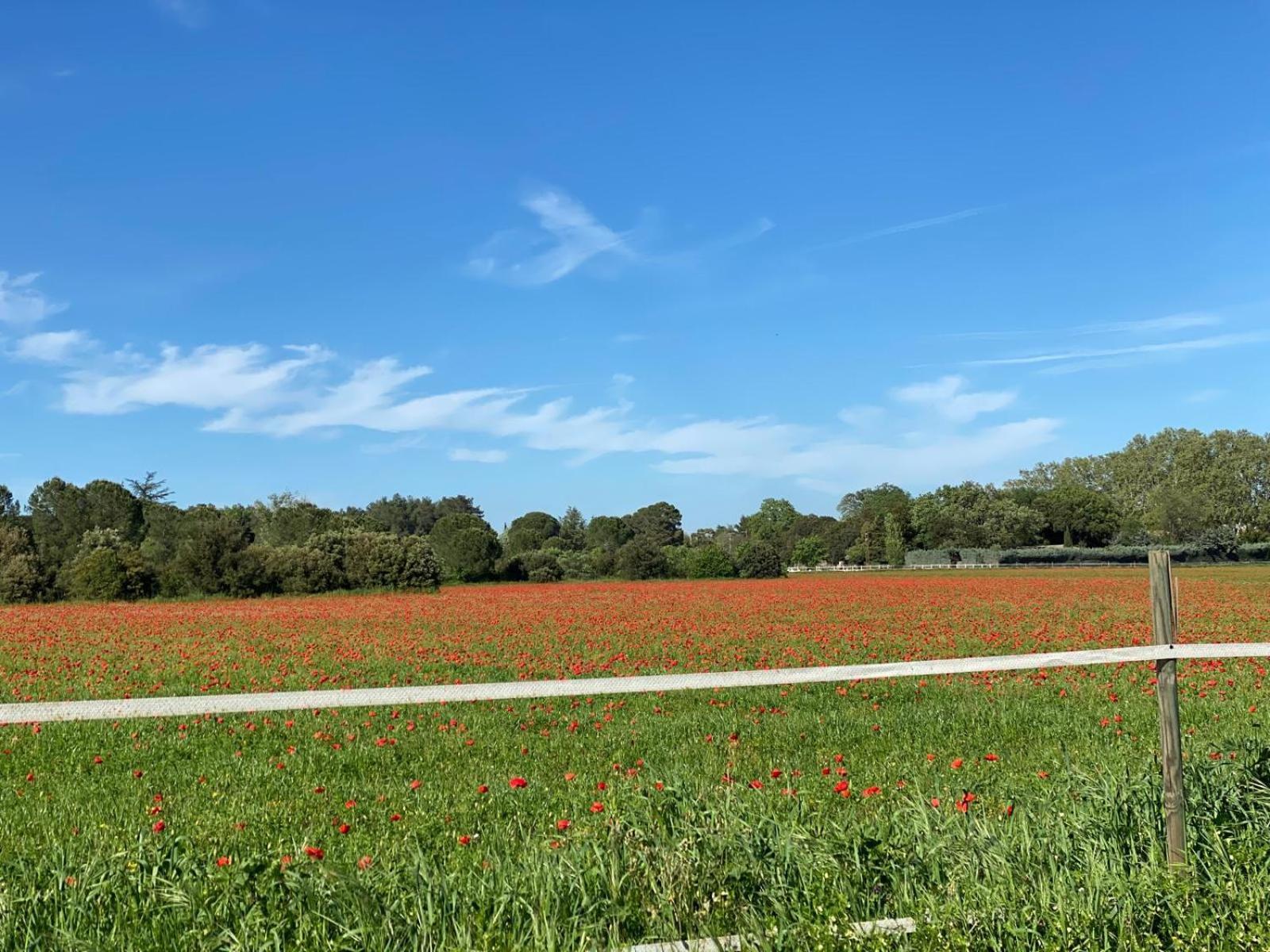 Le Gite Des Poiriers Uzès Esterno foto